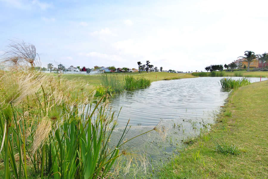 Mar Menor Golf Resort Information Andrew Brown