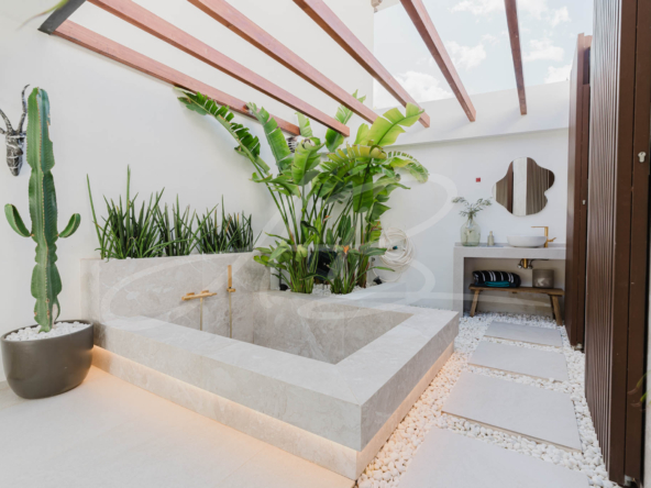 LPXalcornoque36_mm1039-05