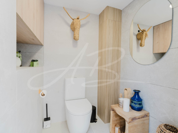 LPXalcornoque36_mm1039-06