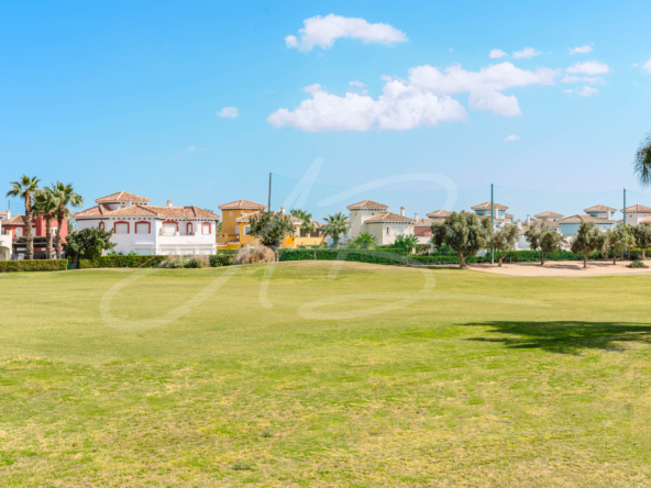 LPXalcornoque36_mm1039-14