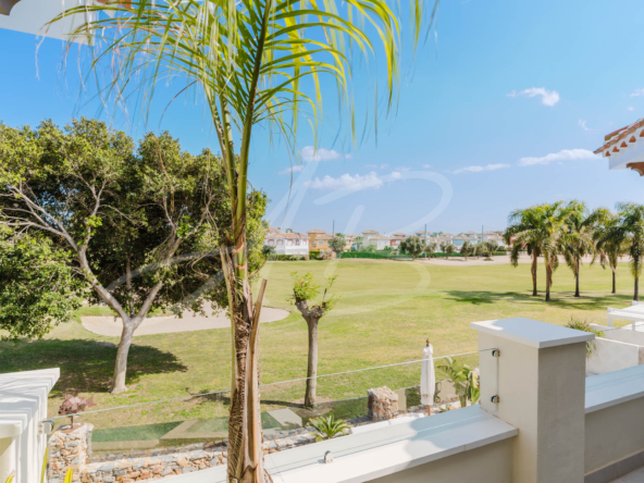 LPXalcornoque36_mm1039-16