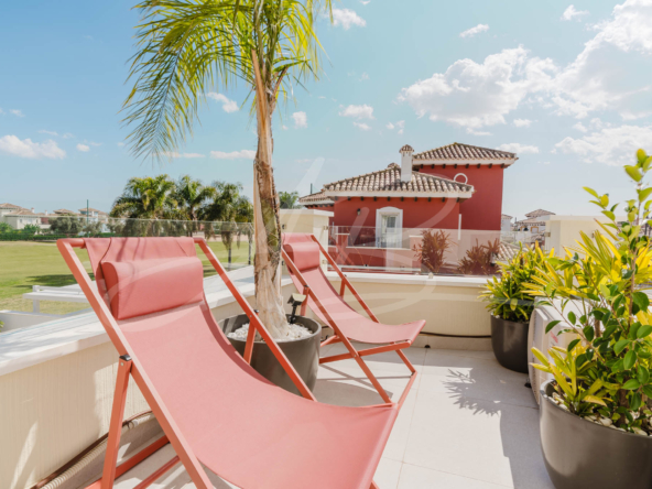 LPXalcornoque36_mm1039-17