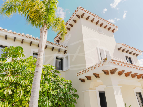 LPXalcornoque36_mm1039-21