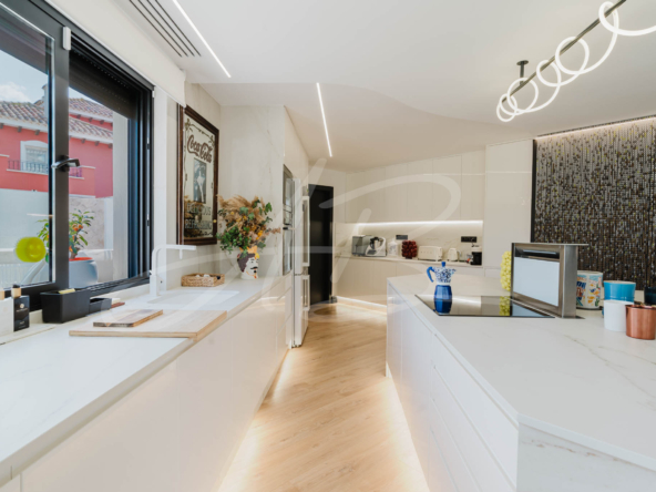 LPXalcornoque36_mm1039-40