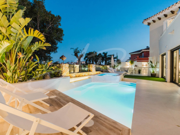 LPXalcornoque36_mm1039-66