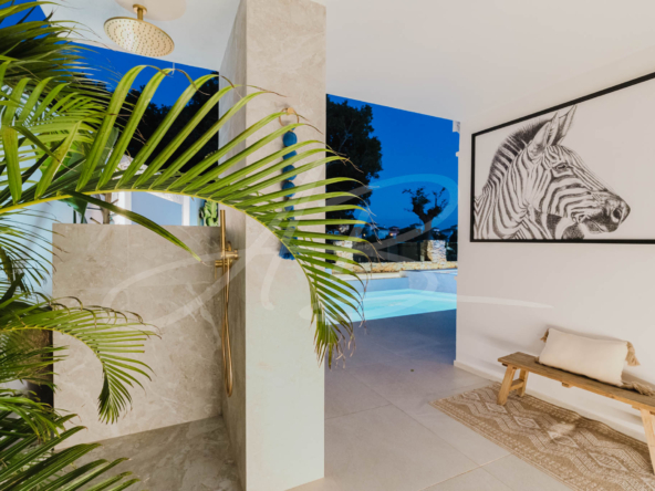 LPXalcornoque36_mm1039-67