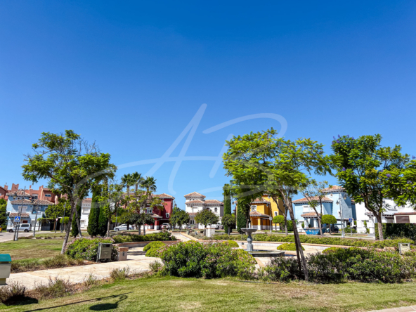 LPXalcornoque46_mm1082-02