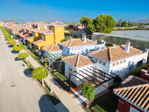 CASTAÑO 62-2